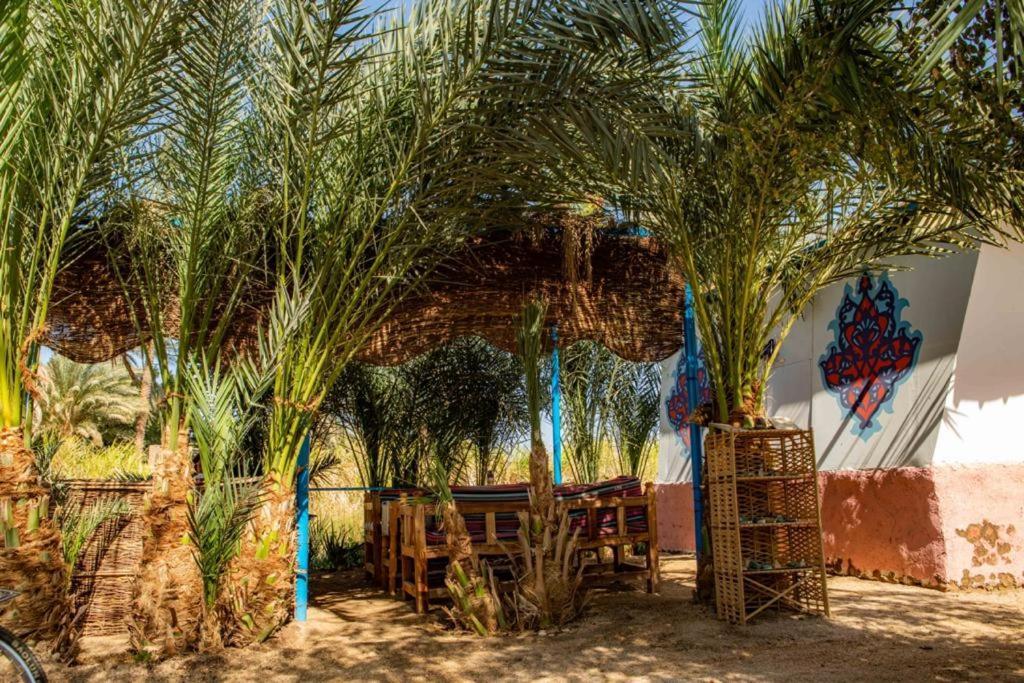 الأقصر Modos Place المظهر الخارجي الصورة