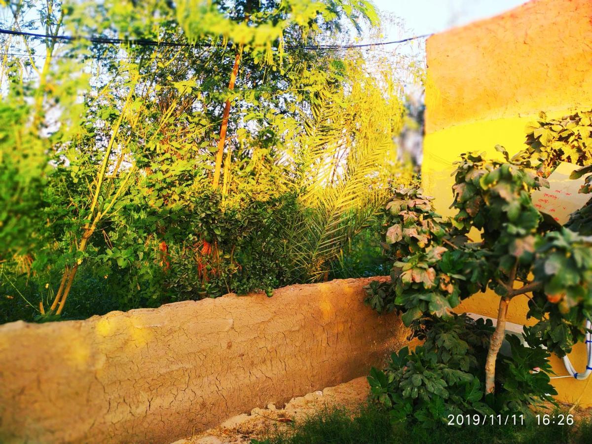 الأقصر Modos Place المظهر الخارجي الصورة